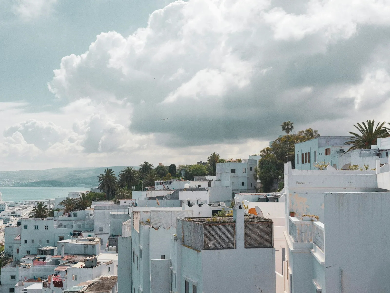 Kasbah blanche de Tanger descendant vers la baie, palmiers et collines du Rif